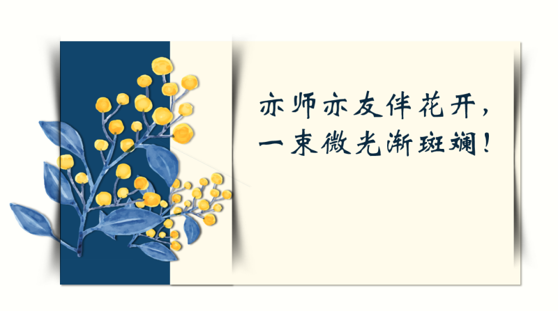 七下家长会——亦师亦友伴花开，束微光渐斑斓!：含讲稿45页PPT-彤彤教务资料网