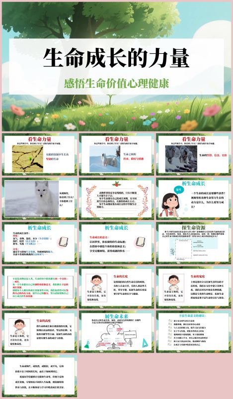 图片[1]-生命教育主题班会《生命成长的力量》“含教案讲稿”17页PPT-彤彤教务资料网